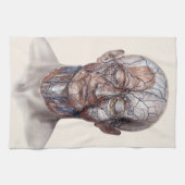 ヴィンテージ解剖学、頭部のど鼻 キッチンタオル (横)