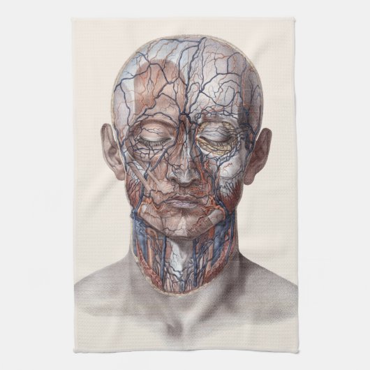 ヴィンテージ解剖学、頭部のど鼻 キッチンタオル (縦)
