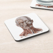 ヴィンテージ解剖学、頭部のど鼻 コースター (左側)