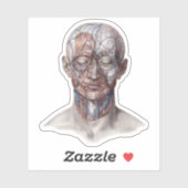 ヴィンテージ解剖学、頭部のど鼻 シール (シート)