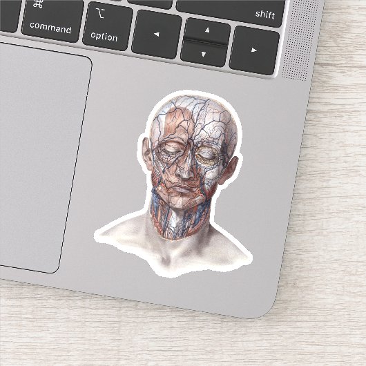 ヴィンテージ解剖学、頭部のど鼻 シール (詳細)