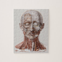 ヴィンテージ解剖学、頭部のど鼻 ジグソーパズル