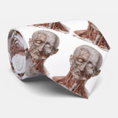 ヴィンテージ解剖学、頭部のど鼻 ネクタイ (ロール)