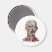 ヴィンテージ解剖学、頭部のど鼻 マグネット (正面/裏面)