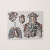 ヴィンテージ解剖用の胸部、臓器、目 ジグソーパズル (横)