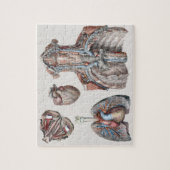 ヴィンテージ解剖用の胸部、臓器、目 ジグソーパズル (縦)