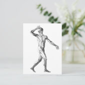 ヴィンテージ解剖、男性体筋 ポストカード (スタンド正面)