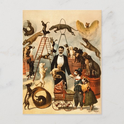 ヴィンテージ訓練サーカス犬の行動トリックドッグ1899 ポストカード (正面)