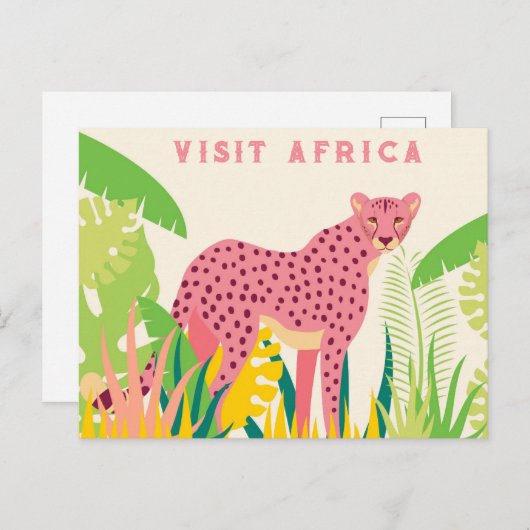 ヴィンテージ訪問アフリカピンクチーター ポストカード (正面/裏面)