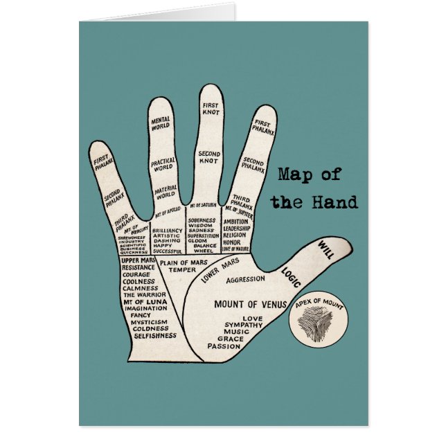 ヴィンテージ読ヤシの果肉 (正面)