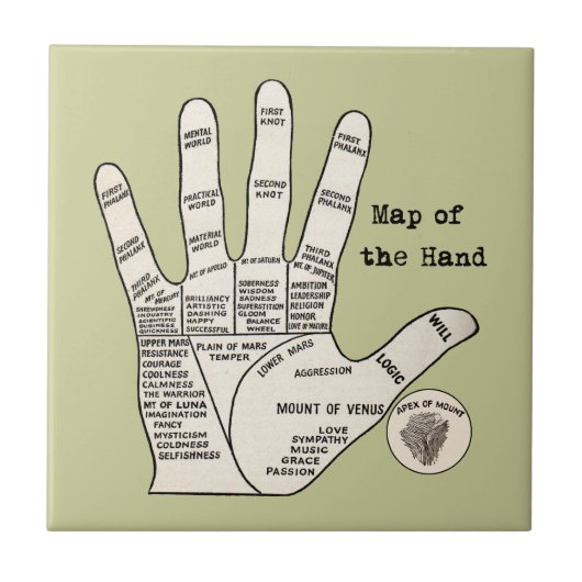 ヴィンテージ読ヤシの果肉 タイル (正面)