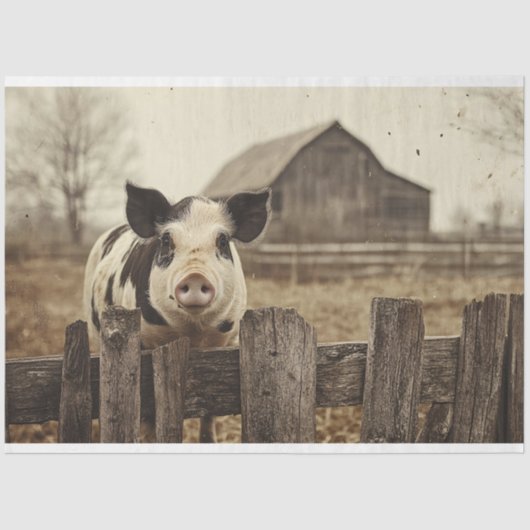 ヴィンテージ豚の農場の切り離し 薄葉紙 (正面)