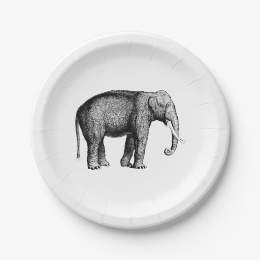 ヴィンテージ象スケッチ ペーパープレート (正面)