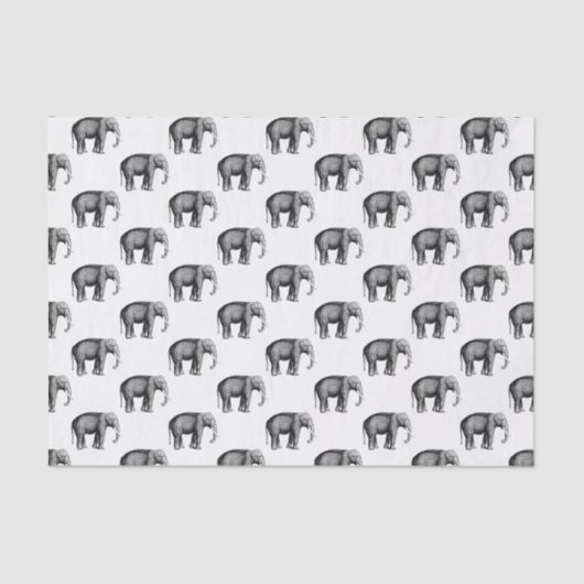 ヴィンテージ象スケッチ 薄葉紙 (正面)