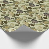 ヴィンテージ貝殻 ラッピングペーパー (角)