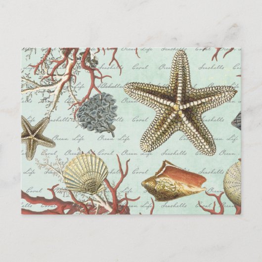 ヴィンテージ貝…ポストカード ポストカード (正面)
