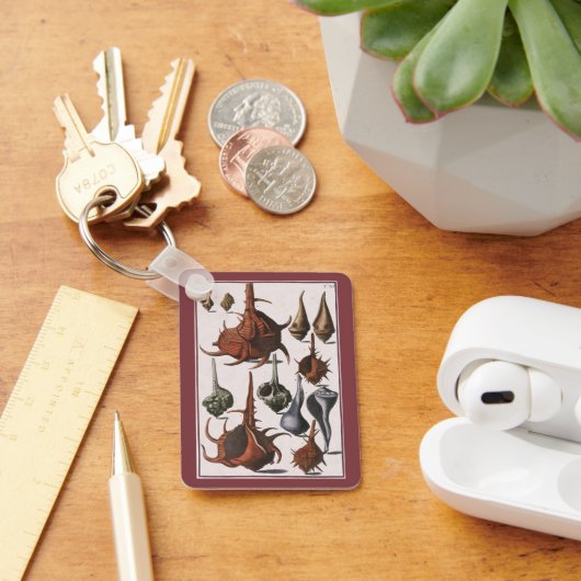 ヴィンテージ貝、海洋生物、海貝殻 キーホルダー (デスク)