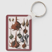 ヴィンテージ貝、海洋生物、海貝殻 キーホルダー (裏面)