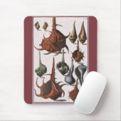 ヴィンテージ貝、海洋生物、海貝殻 マウスパッド (マウス)