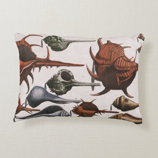 ヴィンテージ貝、海貝殻海洋生物 アクセントクッション (裏面)