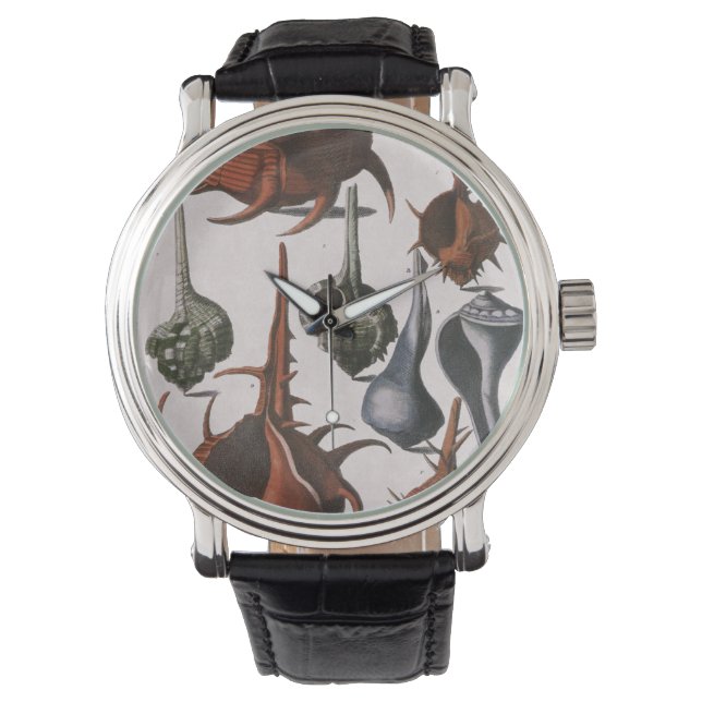 ヴィンテージ貝、海貝殻海洋生物 腕時計 (正面)