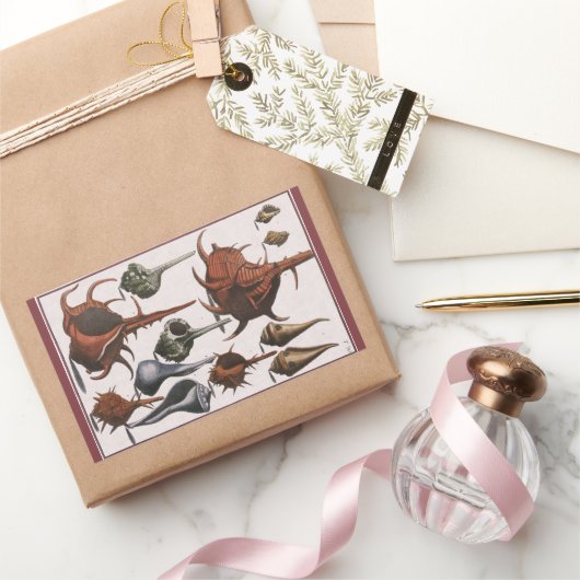 ヴィンテージ貝、海貝殻海洋生物 長方形シール (ギフト)