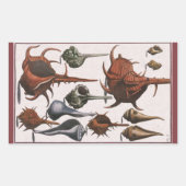 ヴィンテージ貝、海貝殻海洋生物 長方形シール (正面)