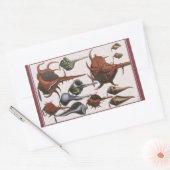 ヴィンテージ貝、海貝殻海洋生物 長方形シール (封筒)