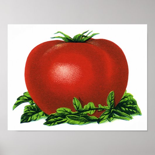 ヴィンテージ赤い熟したトマト、野菜と果物 ポスター (正面)