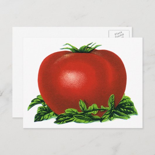 ヴィンテージ赤い熟したトマト、野菜と果物 ポストカード