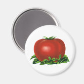 ヴィンテージ赤い熟したトマト、野菜と果物 マグネット (正面/裏面)