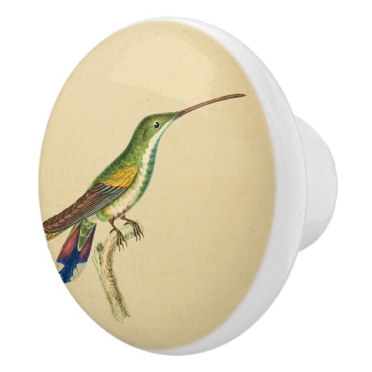 ヴィンテージ赤い緑のハミングバードドロワノブ セラミックノブ (右)