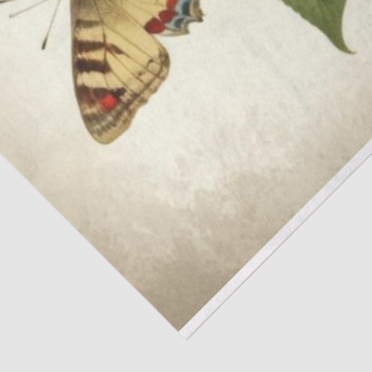 ヴィンテージ赤い黄色の蝶初期ののデコページ 薄葉紙 (詳細)