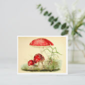 ヴィンテージ赤きのこ/トースツール葉書 ポストカード (スタンド正面)