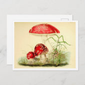 ヴィンテージ赤きのこ/トースツール葉書 ポストカード (正面/裏面)