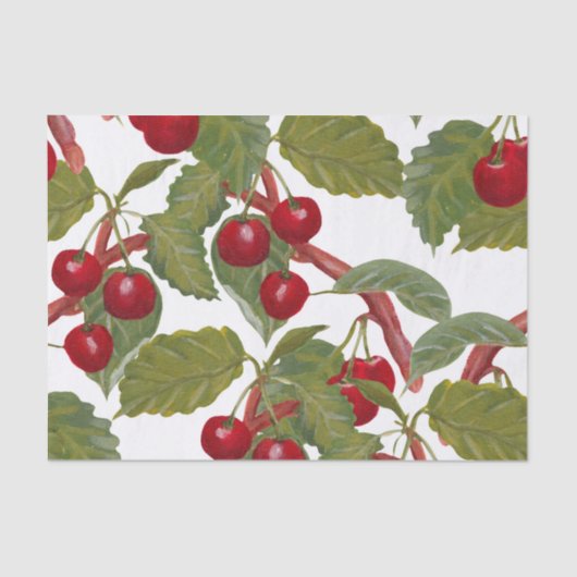 ヴィンテージ赤さくらんぼ水色 薄葉紙 (正面)