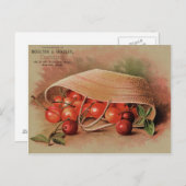 ヴィンテージ赤さくらんぼ ポストカード (正面/裏面)