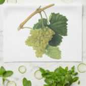 ヴィンテージ赤と白ワインブドウつる植物、フルーツ キッチンタオル (折り畳み)