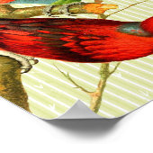 ヴィンテージ赤と緑のパロットの背景 ポスター (角)