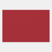 ヴィンテージ赤と緑の雪の結晶 ラッピングペーパーシート (正面2)