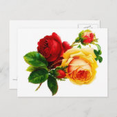 ヴィンテージ赤と黄色のバラのはがき ポストカード (正面/裏面)