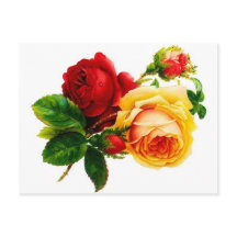 ヴィンテージ赤と黄色のバラのはがき