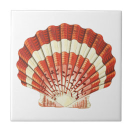 ヴィンテージ赤と黄色のホタテ淡い色の貝殻アクリル  タイル