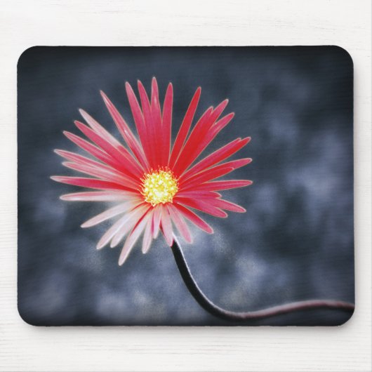 ヴィンテージ赤デイジー花 マウスパッド (正面)