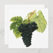 ヴィンテージ赤ワインオーガニックグレープクラスター、フードフルーツ (正面/裏面)