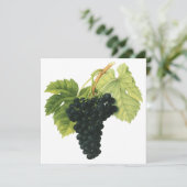 ヴィンテージ赤ワインオーガニックグレープクラスター、フードフルーツ (スタンド正面)