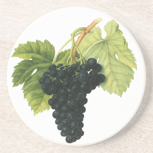 ヴィンテージ赤ワインオーガニックグレープクラスター、フードフルーツ コースター (正面)