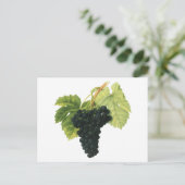 ヴィンテージ赤ワインオーガニックグレープクラスター、フードフルーツ ポストカード (スタンド正面)