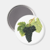 ヴィンテージ赤ワインオーガニックグレープクラスター、フードフルーツ マグネット (正面/裏面)