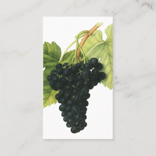 ヴィンテージ赤ワインオーガニックグレープクラスター、フードフルーツ 名刺 (裏面)